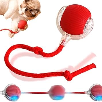 HOIDOKLY Pelota interactiva para perros, pelota de juguete para perros con cuerda, bola de rodadura automática inteligente para gatos y perros, juguete interactivo para perros, pelota eléctrica (rojo)