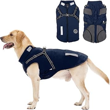 Abrigo Invierno Perro, Abrigo Impermeable para Perros Resistente al Viento, Chaqueta para Perros con Tiras Reflectantes Seguras & Arnés Ajustable para Perros pequeñas, Medianas y Grandes